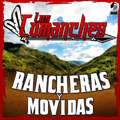 Rancheras y Movidas's cover