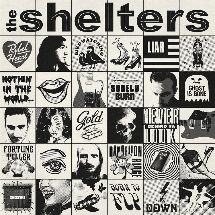 The Shelters's avatar image