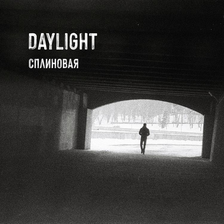 Daylight's avatar image