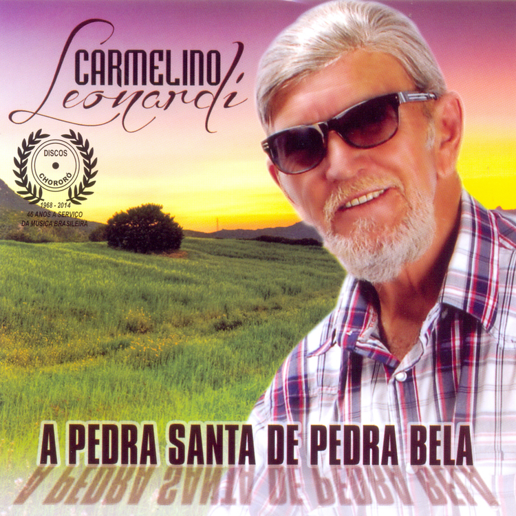 Carmelino Leonardi's avatar image