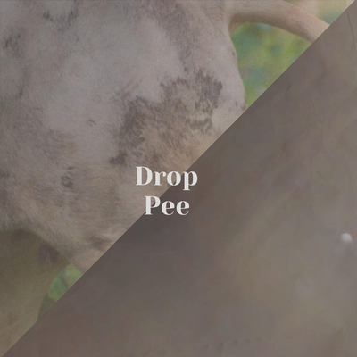 Drop Pee's cover