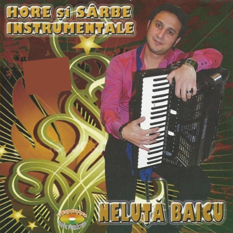 Neluta Baicu's avatar image