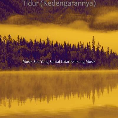 Musik (Ketenangan)'s cover