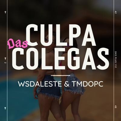 Culpa das Colegas By DJ TM DO PC, Mc Ws da leste's cover