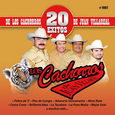 20 Exitos De Los Cachorros De Juan Villarreal's cover
