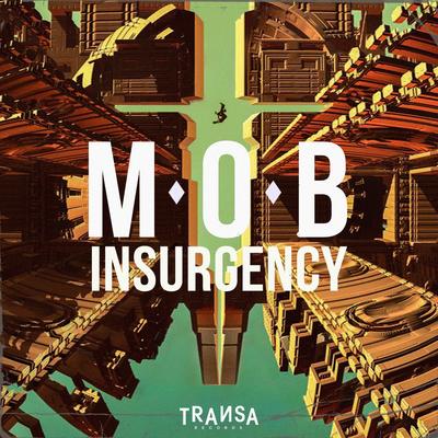 Insurgency's cover