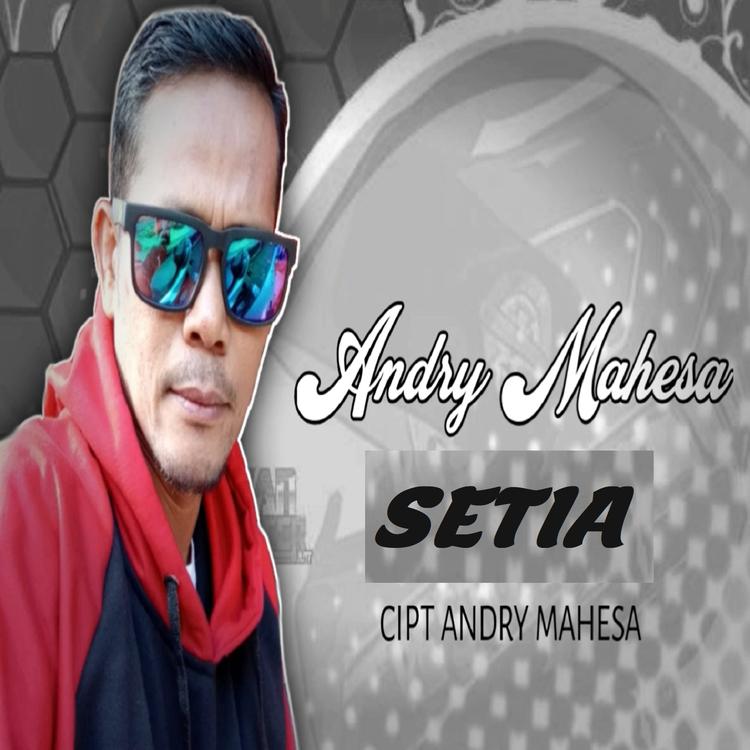 Andry Mahesa's avatar image