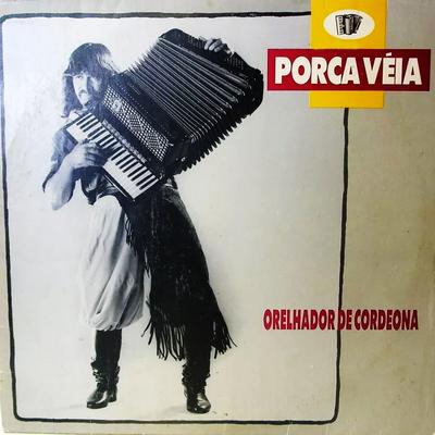 Recorrendo Os Aguapés By Porca Véia's cover