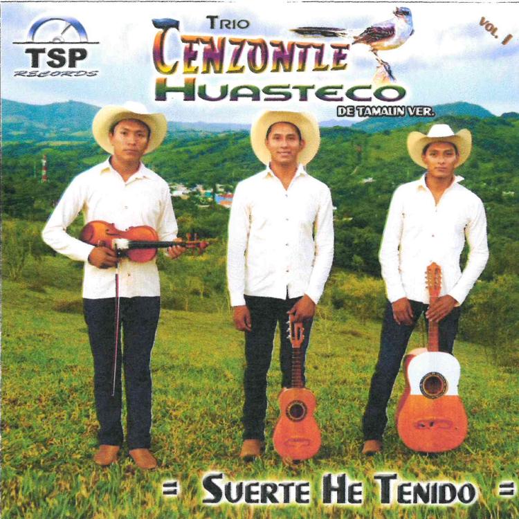 Trío Cenzontle Huasteco's avatar image