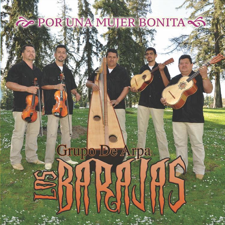 Grupo De Arpa Los Barajas's avatar image