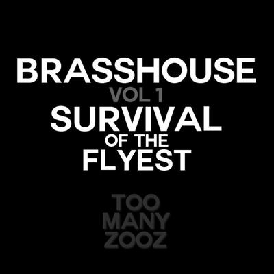 Brasshouse, Vol. 1: Survival of the Flyest's cover