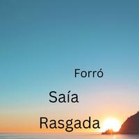 Forró saía rasgada's avatar cover