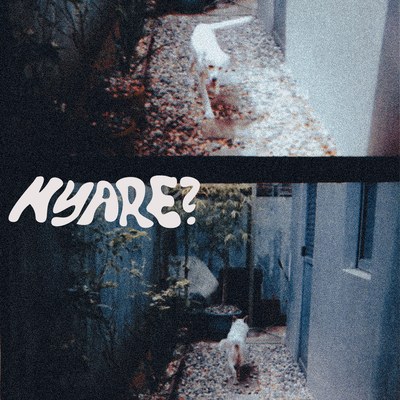 Nyare?'s cover