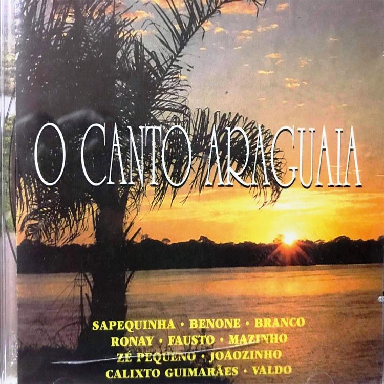 O Canto Araguaia's avatar image