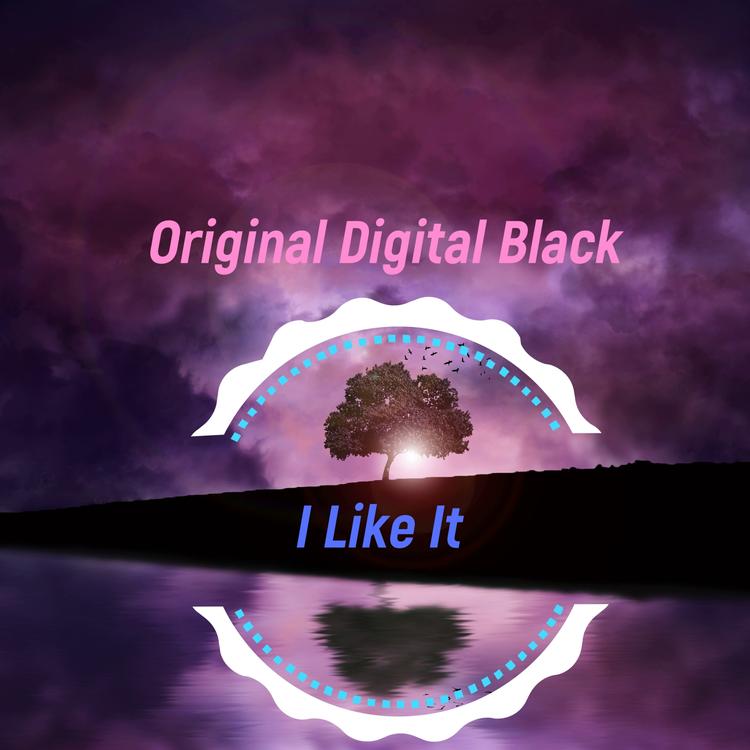 Original Digital Black's avatar image