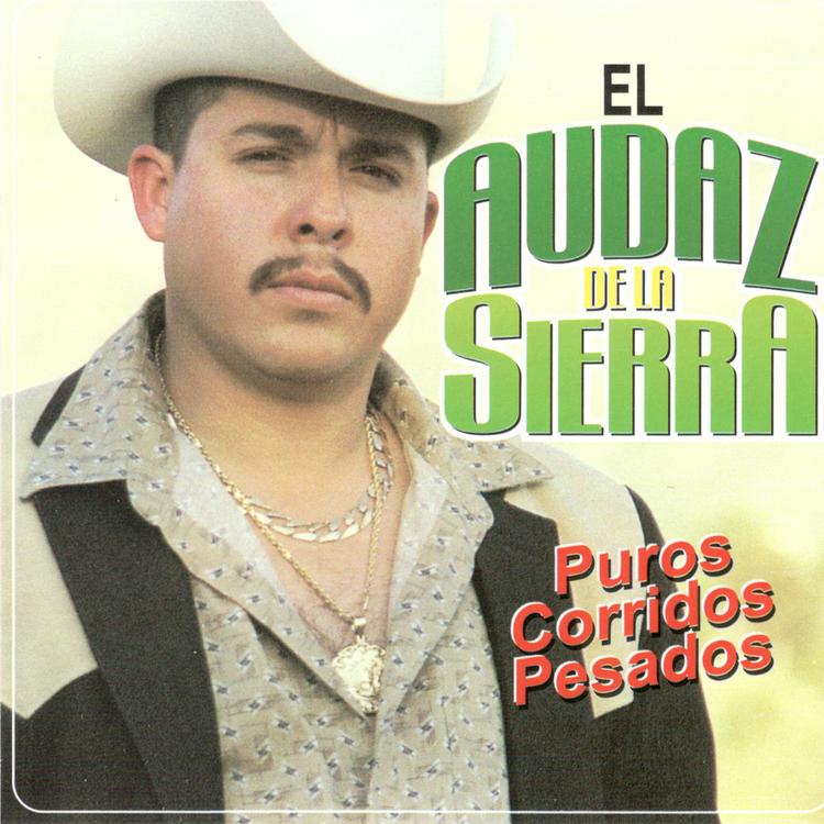 El Audaz de la Sierra's avatar image