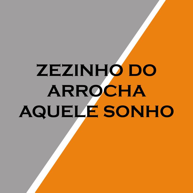 Zezinho do Arrocha's avatar image