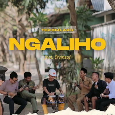 Ngaliho's cover