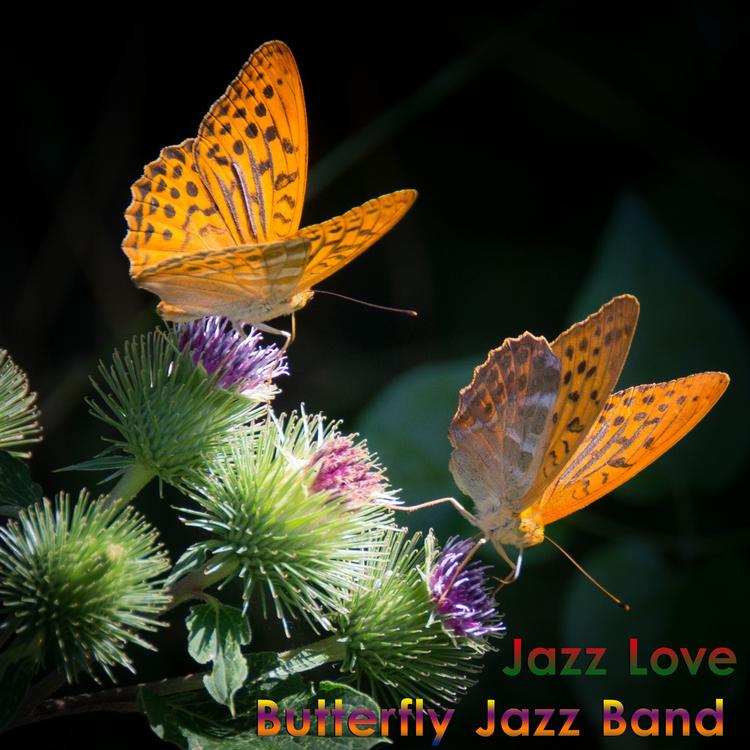 Butterfly Jazz Band's avatar image
