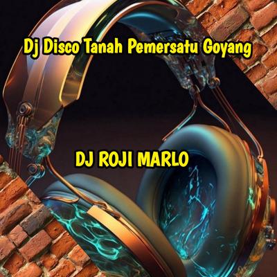 Dj Disco Tanah Pemersatu Goyang's cover
