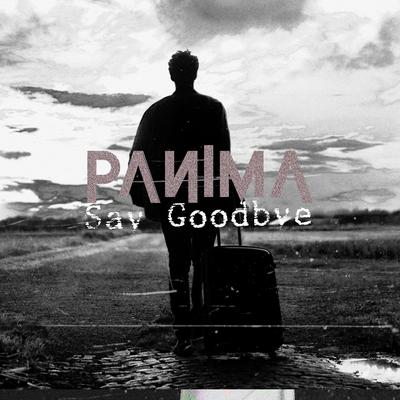 Say Goodbye By Panima's cover