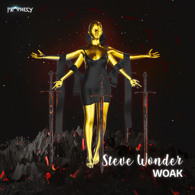 Steve Wonder By WOAK's cover