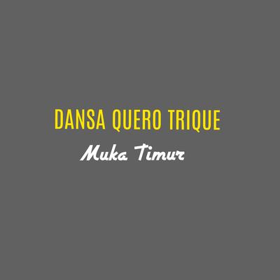 Dansa Quero Trique (Cover)'s cover