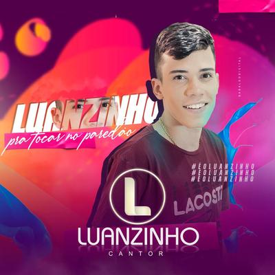 Vai Ter Que Aguentar By Luanzinho Cantor's cover