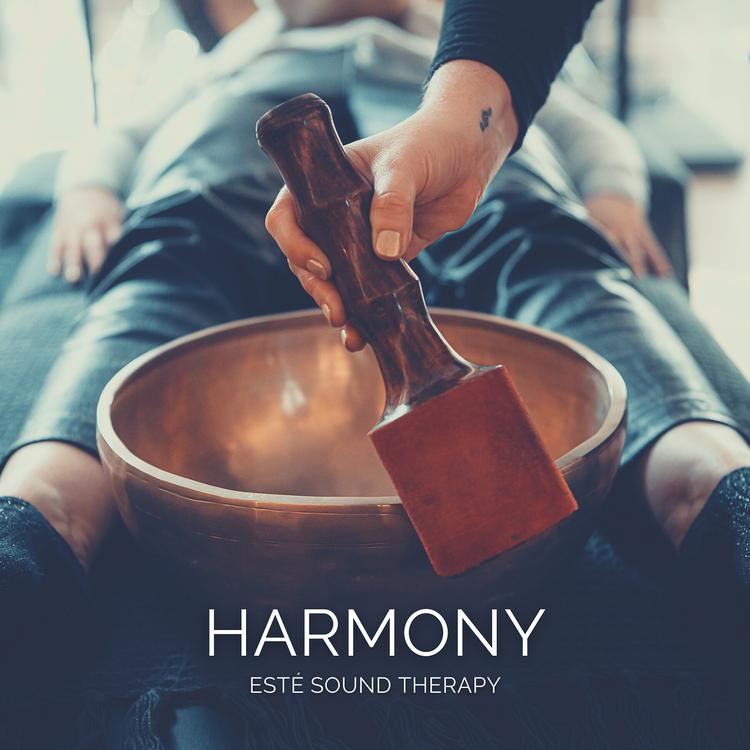 Esté Sound Therapy's avatar image