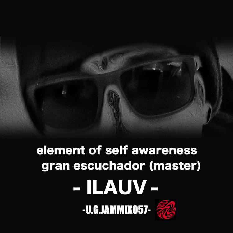 Ilauv's avatar image