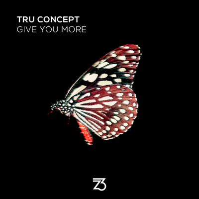 Give You More By TRU Concept's cover