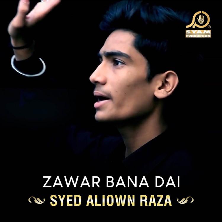 Syed Aliown Raza's avatar image