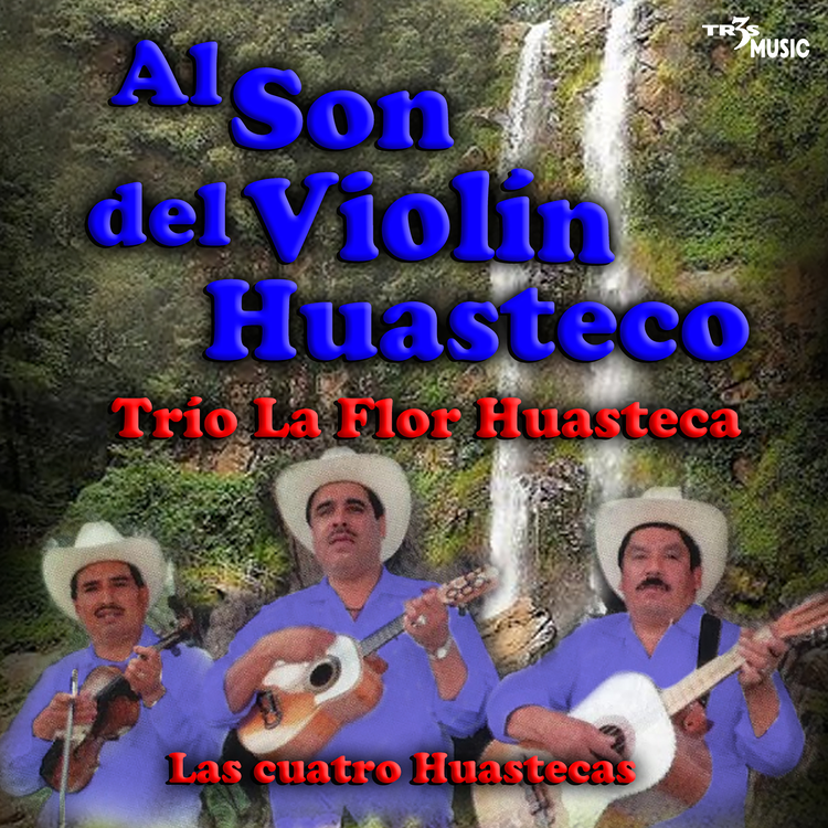 Trio La Flor Huasteca's avatar image