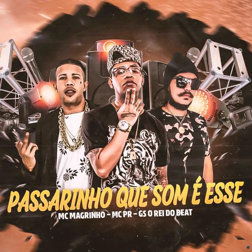 Passarinho Que Som É Esse (feat. Mc Magr's cover