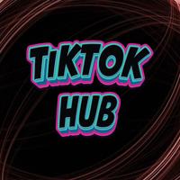 TikTokHub's avatar cover