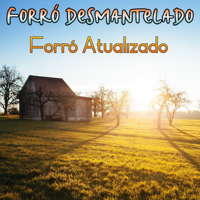 Forró Atualizado's cover