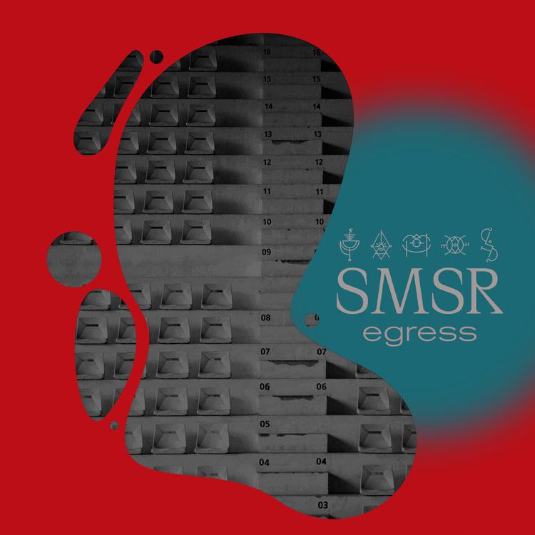 SMSR's avatar image