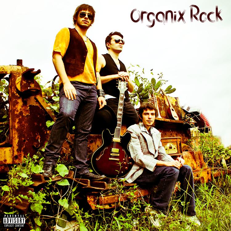 Organix Rock's avatar image