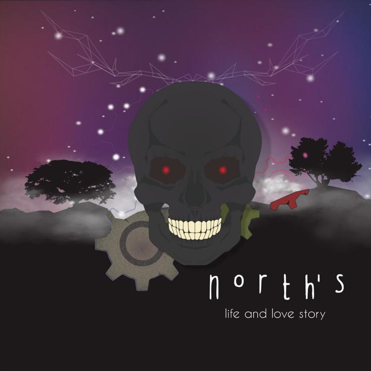 North's's avatar image