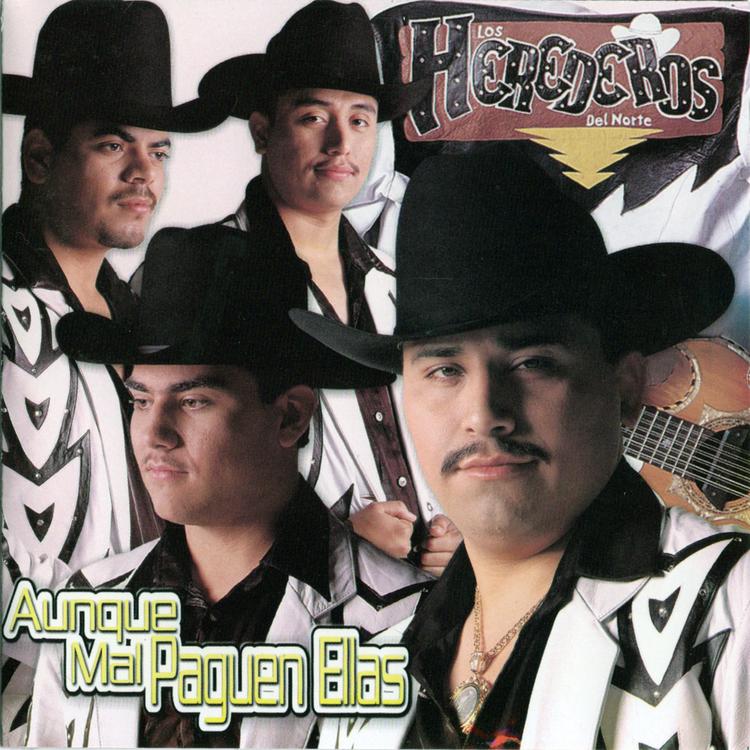 Los Herederos Del Norte's avatar image