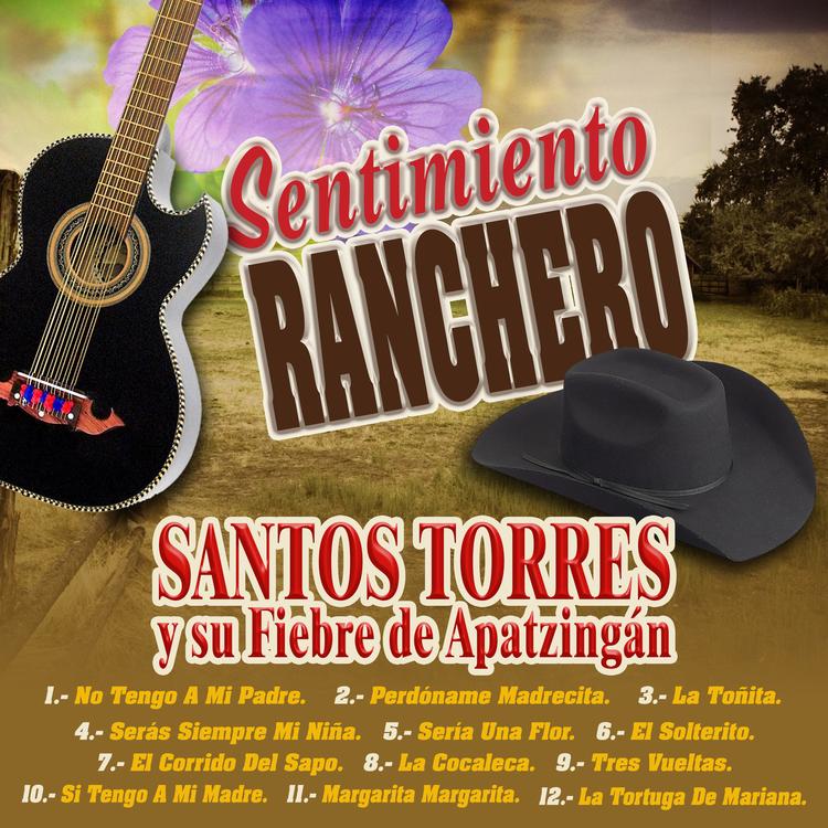 Santos Torres Y Su Fiebre De Apatzingan's avatar image