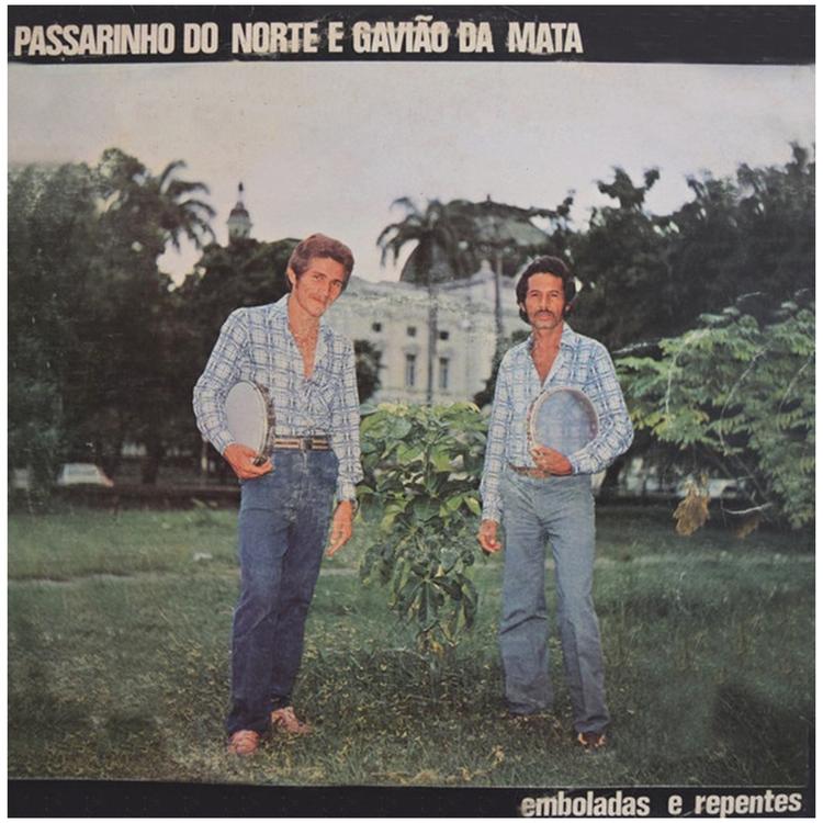 Passarinho do Norte & Gavião da Mata's avatar image