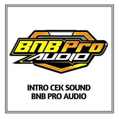 Intro Cek Sound BNB Pro Audio's cover