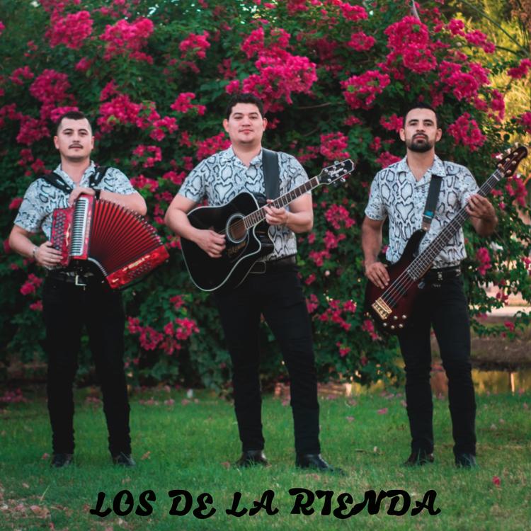 Los de la Rienda's avatar image