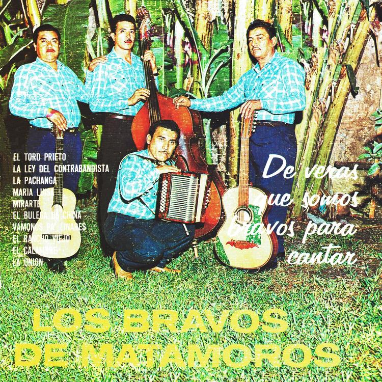 Los Bravos de Matamoros's avatar image