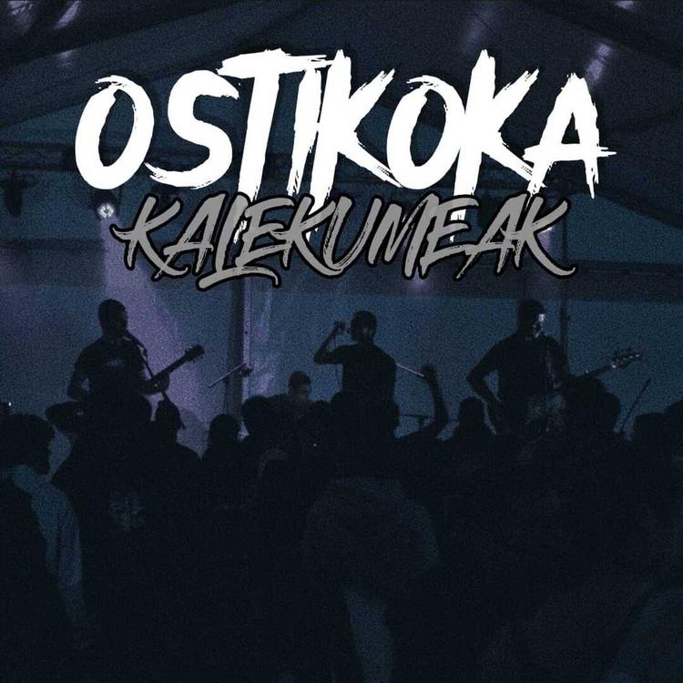 Ostikoka's avatar image