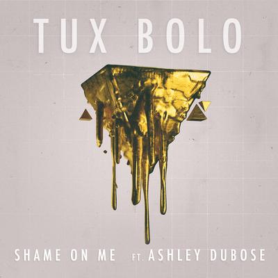 Shame on Me (feat. Ashley DuBose) By Tux Bolo, Ashley DuBose's cover