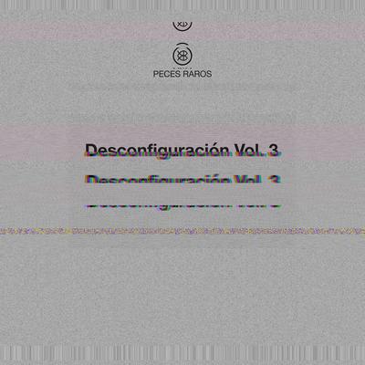 Desconfiguración, Vol. 3's cover
