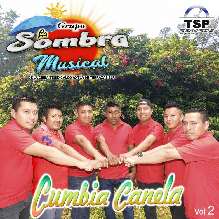 La Sombra Musical's avatar image