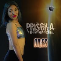 Priscila y su Fantasía Tropical's avatar cover